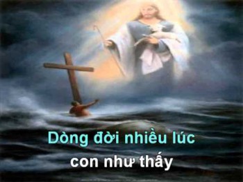 CON ĐI TÌM NGÀI