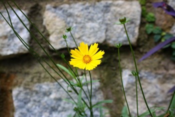 1 4