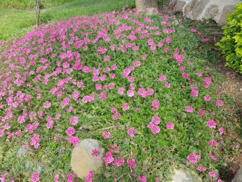 MỘT NGÀY KHÔNG CÓ ĐIỆN