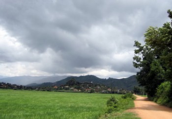 CAO NGUYÊN XỨ ĐẠO