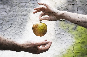 Vết Sẹo Tình Yêu