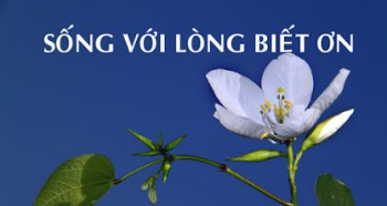 Lòng biết ơn