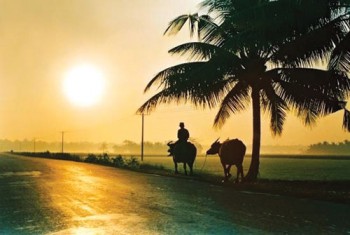 GIẤC BÌNH YÊN