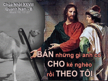 cn28tnB