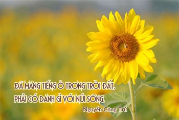 Bàn về chữ “Danh”