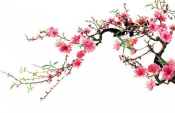 RẠO RỰC TÌNH XUÂN