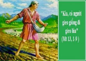 Hạt gieo, đất tốt.