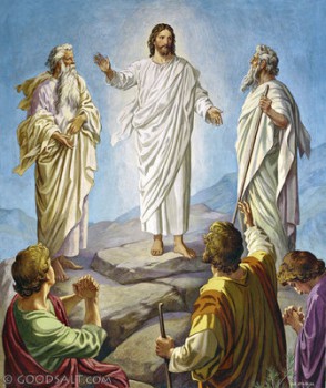 Matt 17  1 9