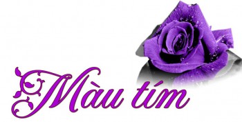 TÍM MÀU CHAY