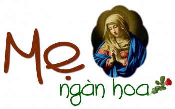 HẠT NẮNG THÁNG NĂM