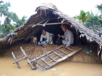 VỌNG VỀ CỐ HƯƠNG
