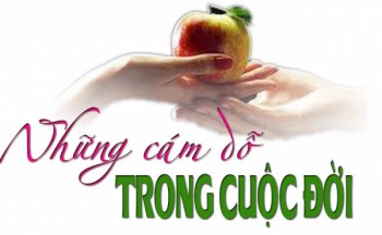 CÁM DỖ