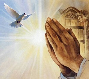 PrayingHands Dove
