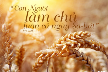 Ngày của Chúa (Mc 2, 27)