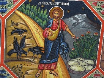 sower