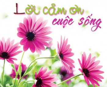Lời cám ơn
