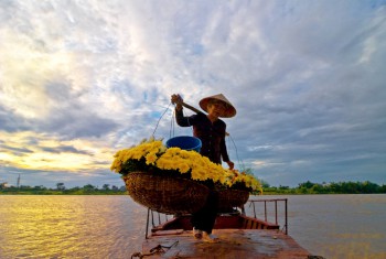 Tinh me