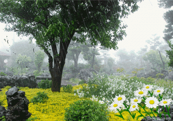 tumblr nx8oquS1B71sdqemdo1 400
