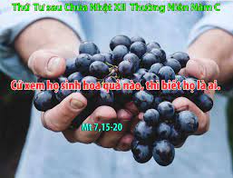 Xem quả biết cây.