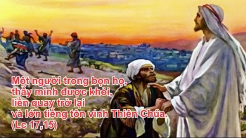 CHÚA NHẬT TUẦN 28 THƯỜNG NIÊN – C