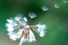 images (3)(2)