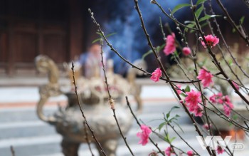NGÀY ĐẦU NĂM MỚI