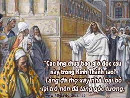 Viên đá bị loại bỏ