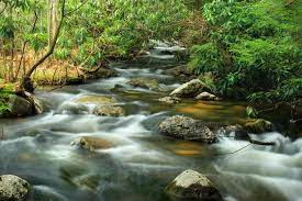 Dòng suối ân sủng