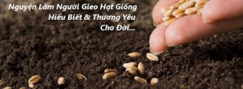 Bài hoc gieo hạt