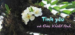 Khiết tịnh đời tôi