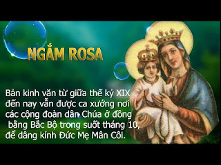 Tháng Rosa