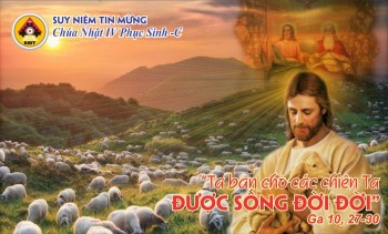 Suy niệm Tin Mừng Chúa Nhật IV Phục Sinh -C