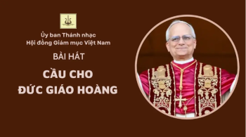 Bài hát “Cầu cho Đức Giáo hoàng”