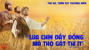 Lúa chín mà ít ngươi gặt