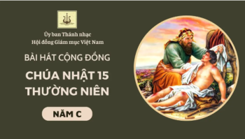 Bài hát cộng đồng Chúa nhật 15 Thường niên năm C
