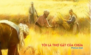 Tôi là thợ gặt của Chúa