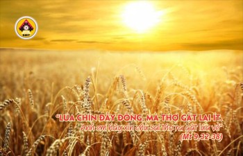 Lời Chúa THỨ BA TUẦN 14 THƯỜNG NIÊN