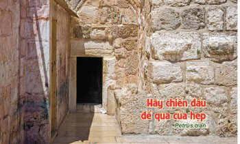 Hãy chiến đấu…