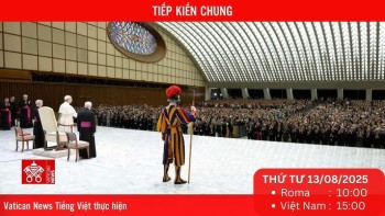 Trực tiếp Buổi Tiếp kiến chung hằng tuần