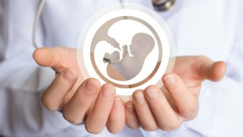 GH Công giáo Hàn Quốc lên tiếng bảo vệ thai nhi