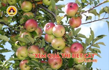 Lời Chúa THỨ BẢY TUẦN 23 THƯỜNG NIÊN