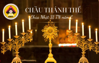 Chầu Thánh Thể CN 31 Năm C – Cầu cho Các Linh hồn –  2/11/ 2025