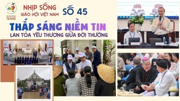 Nhịp sống Giáo hội Việt Nam – Số 45 (26-10 đến 01-11-2025)