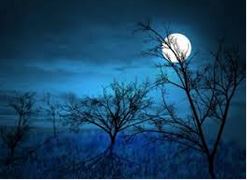 Nguồn Thơm Sự Sống