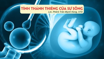Tính Thánh Thiêng của Sự Sống