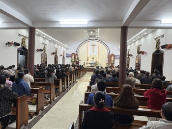 Giáo Xứ Kim Mai: Mừng Kính Thánh Tôma Aquinô Bổn mạng Cha Quản xứ