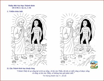 Thiếu Nhi VHTK-CN5MCA-7 khác biệt