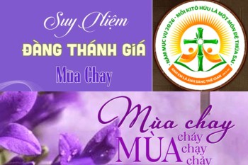 Đàng Thánh Giá Năm 2026