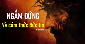 Ngắm Đứng Và Cảm Thức Đức TIn