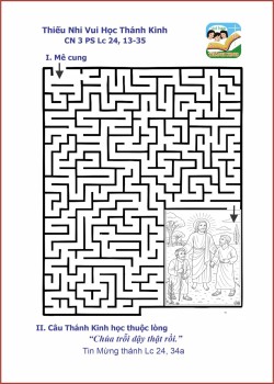 VHTK Mê Cung CN 3 PSA